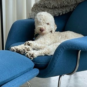 Meet your Posher, Mary ellen